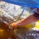 홍천노내골농장 이미지