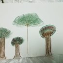 헤세드(hesed) 이미지