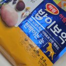 건강에 대한 고민 해결방법 | 강아지 눈물자국 이유, 해결한 방법!
