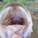 청도천6 이미지