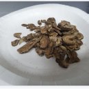 강한마디한의원 이미지