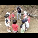 🩷사랑반🌳☘️🌸운학유아 숲체험🩷 이미지