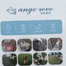 앙쥬레브 애견호텔&애견유치원 송도점 이미지