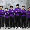 월드타이거즈 이미지