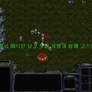 벳메딕