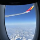 장수족발 이미지