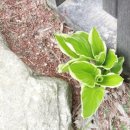 픽션하우스 이미지