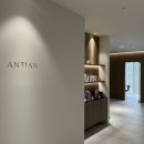 안티안의원 | 안티안의원 울써마지 패키지후기!! (+단독혜택)