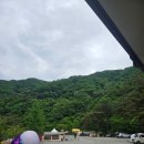 레드우드캠핑장 이미지