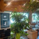 실내체육관화장실(우) 이미지