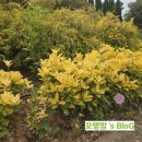 덕기농장 이미지