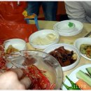 울릉도꽃새우 이미지