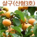 예일원