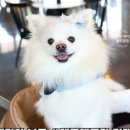카페테리아남동 이미지