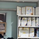 경희대 석사 바른태권도 이미지