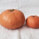 영부농장 이미지