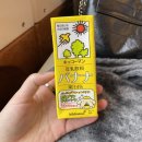 뇌가 상했어요 꺼내서 닦아야해요