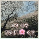 성불사 입구 | 장산 성불사 숨은 벚꽃 명소, 해운대 바다까지 보이는 산책길