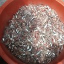 미조리식당 이미지