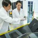 해바라기태양광 이미지