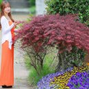 서울숲3 이미지