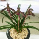 음주가무 이미지