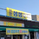 양양전통시장 공용주차장 화장실 | 양양 회포장 추천 싱싱수산 대방어 2인 배터지는 후기 쏠비치 양양 근처 현지인 맛집