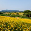 구미강정 이미지