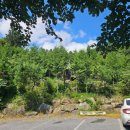 로즈가든펜션 이미지