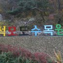 석모도수목원 이미지