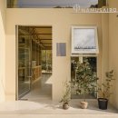 나무사이로 이미지