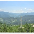 삼수령탑 이미지