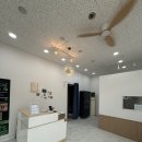 더모아뷰티 이미지