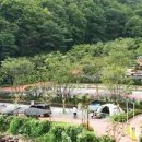 성남가족캠핑숲 이미지