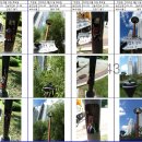 주교3호어린이공원 이미지