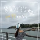 제주고고스쿠터 | 제주도 놀거리 추천 쓩쓩렌탈샵 애월점 전동스쿠터 타고 해안도로 후기