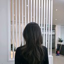 커트와 파마 이미지