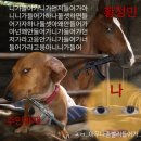 가보자호프 | 늙크크가 만든 ADHD 영화 [호프] 불호 후기