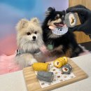 펫노우 | 구월동 강아지 수제간식 만들기 배워보기(팻푸드 찐 후기)