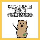 부동산 청약&amp;대출 강의 후기(미소밸리&amp;리웨이)