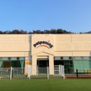 펫프닝 타운 이미지