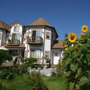 숲속의 별들 이미지