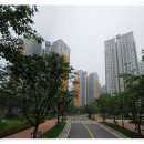 E편한세상 아파트앞 횡단보도 이미지