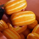 2518 | 생생정보 2518회 지금이 딱 제철 성주 게르마늄 참외 택배주문 바로가기