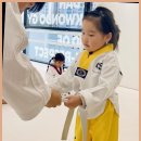더단 태권도장 이미지
