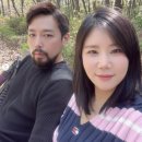 미스터 안