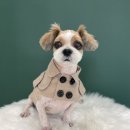 더 이쁘개 이미지