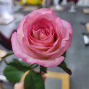 코앞휘트니스클럽 이미지