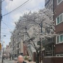 구로푸른요양원 이미지