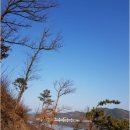 충남댁